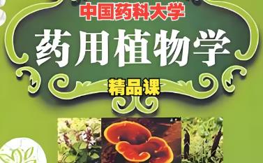 《药用植物学》精品课 中国药科大学
